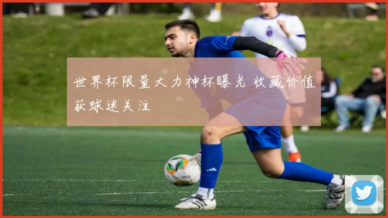 世界杯限量大力神杯曝光 收藏价值获球迷关注