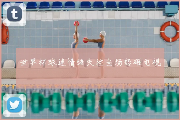 世界杯球迷情绪失控当场怒砸电视