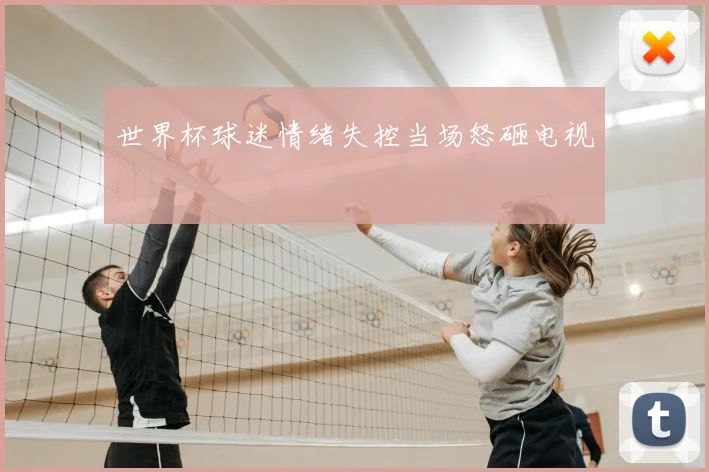 世界杯球迷情绪失控当场怒砸电视