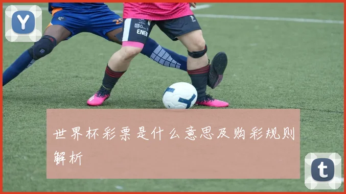 世界杯彩票是什么意思及购彩规则解析